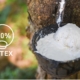 Naturlatex Herkunft – natürlicher Latexsaft aus dem Kautschukbaum