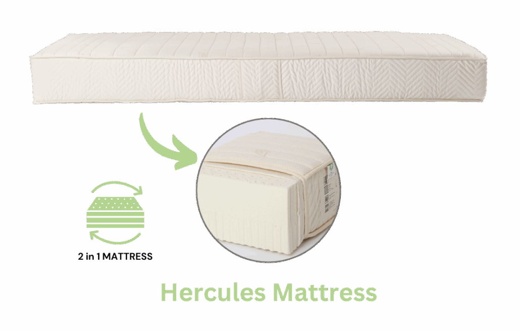 Hercules 2 in 1 Mattress 1200x1200 PX ENG Herkules mattress made of GOLS-certified 7-zone natural latex – combines soft and medium-firm layers for stable body support and long-lasting comfort.